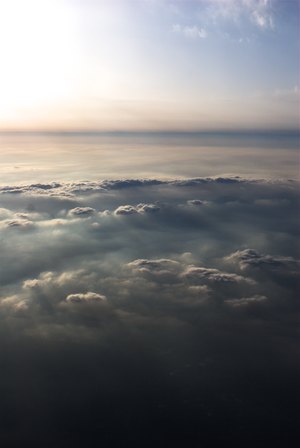 Flying High