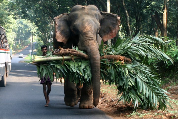 Big Help