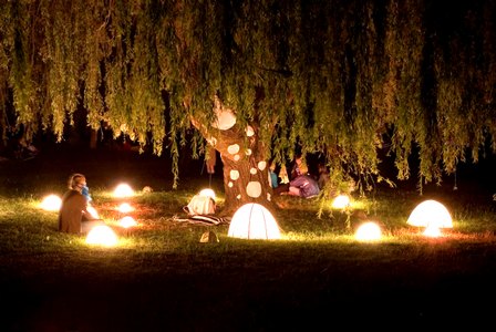 Under the Magical Willow