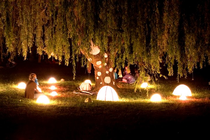 Under the Magical Willow