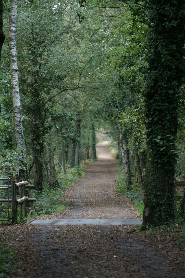 Covered Path