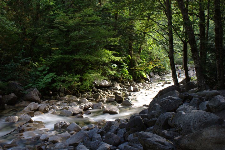 Downstream
