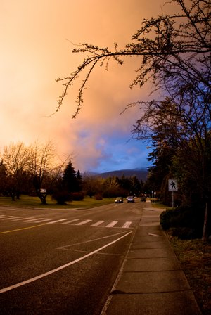 Sunsetting on the Boulevard