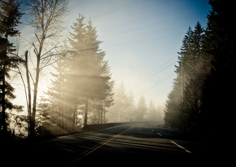Sun Streamed