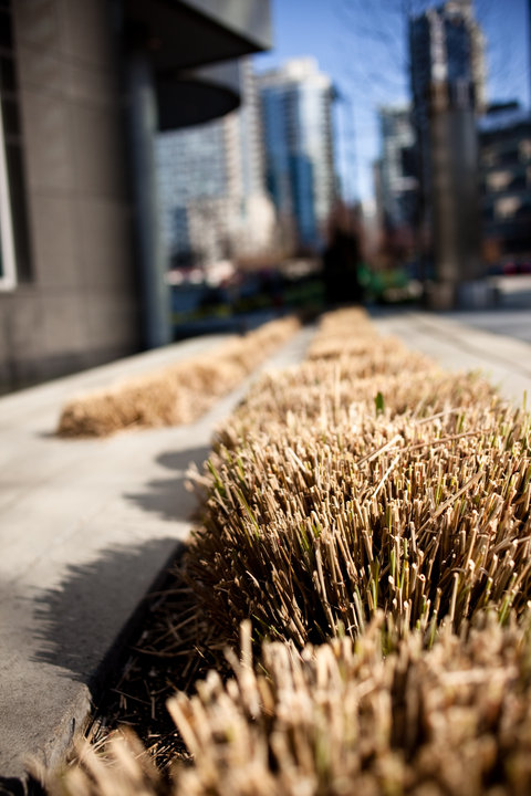 Low Profiled Hedging
