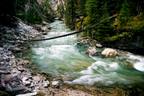 The Rapids of Johnston Canyon