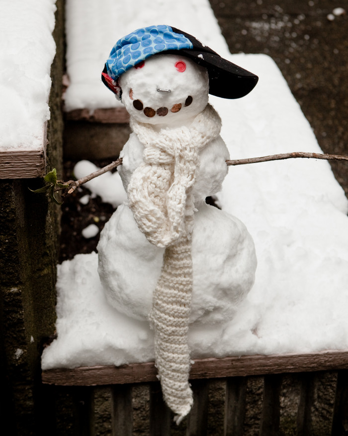 Skippy the Blue-Capped Snowman