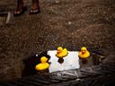 Puddle Duckies